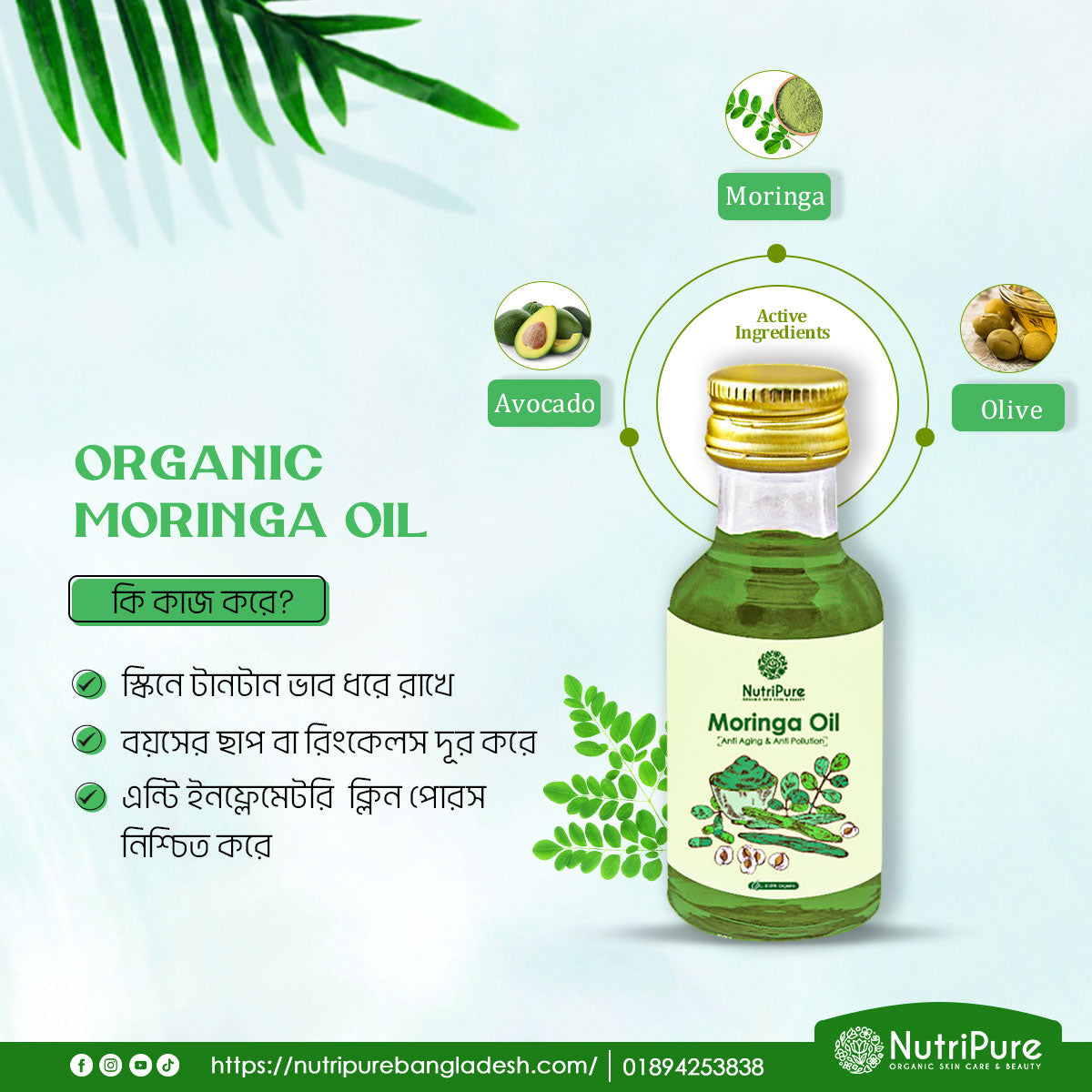 Moringa Oil My Store