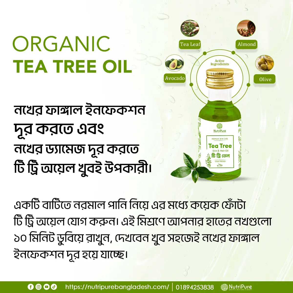 Tea Tree Oil My Store